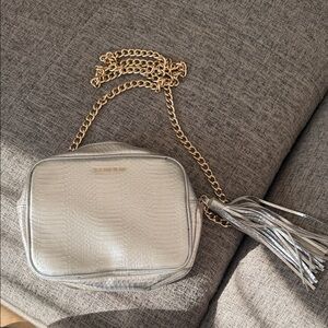 Silver Crossbody Bag with Gold Chain